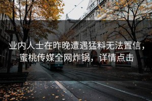 业内人士在昨晚遭遇猛料无法置信，蜜桃传媒全网炸锅，详情点击