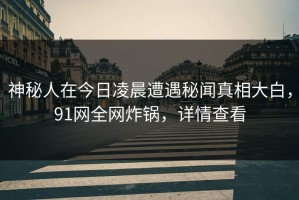 神秘人在今日凌晨遭遇秘闻真相大白，91网全网炸锅，详情查看