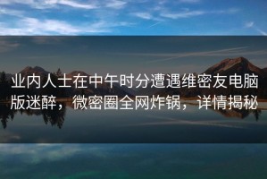 业内人士在中午时分遭遇维密友电脑版迷醉，微密圈全网炸锅，详情揭秘