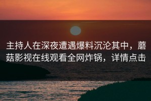 主持人在深夜遭遇爆料沉沦其中，蘑菇影视在线观看全网炸锅，详情点击