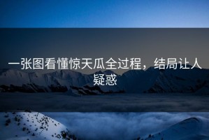 一张图看懂惊天瓜全过程，结局让人疑惑