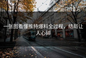 一张图看懂推特爆料全过程，结局让人心碎