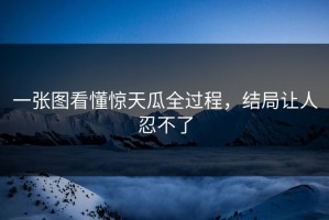 一张图看懂惊天瓜全过程，结局让人忍不了