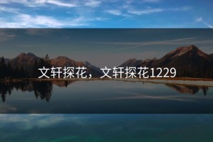 文轩探花，文轩探花1229