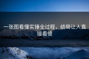 一张图看懂实锤全过程，结局让人直接看傻