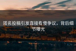 匿名投稿引发直接看傻争议，背后细节曝光