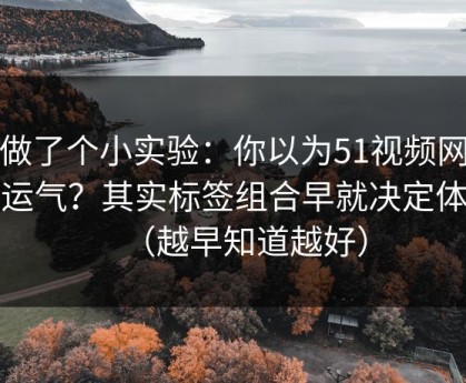 我做了个小实验：你以为51视频网站靠运气？其实标签组合早就决定体验（越早知道越好）