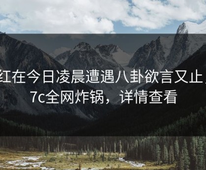 网红在今日凌晨遭遇八卦欲言又止，17c全网炸锅，详情查看