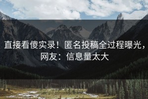 直接看傻实录！匿名投稿全过程曝光，网友：信息量太大