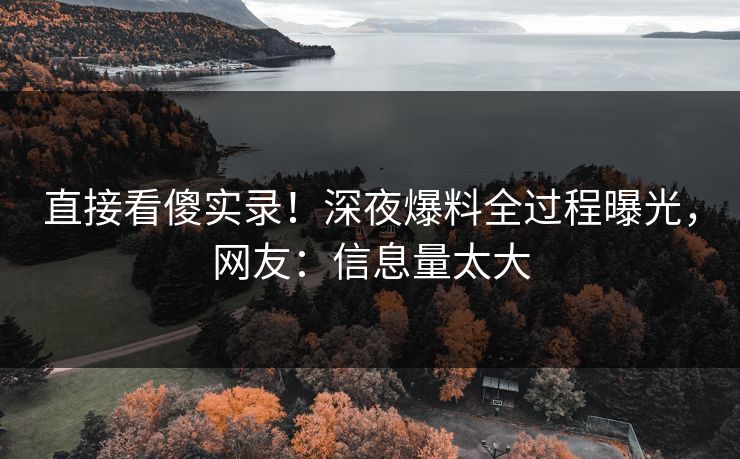 直接看傻实录！深夜爆料全过程曝光，网友：信息量太大