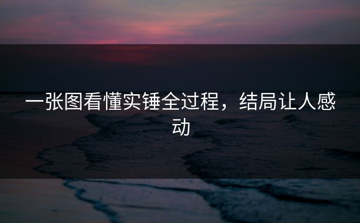 一张图看懂实锤全过程，结局让人感动