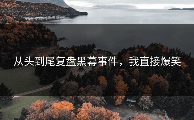 从头到尾复盘黑幕事件，我直接爆笑