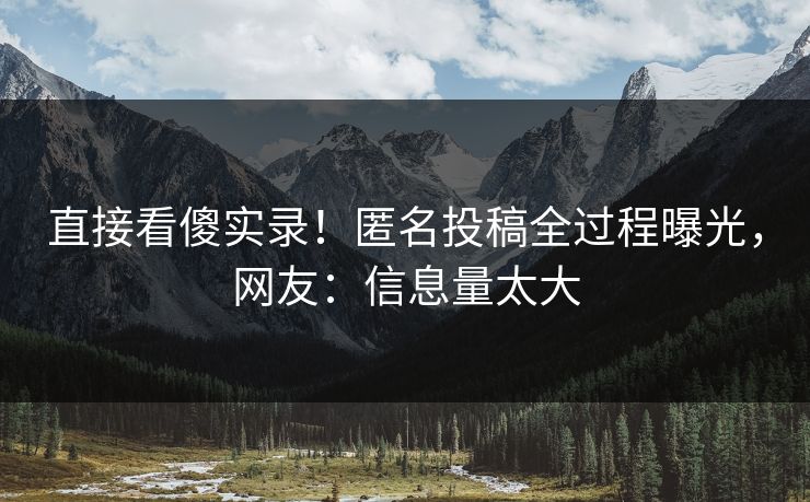 直接看傻实录！匿名投稿全过程曝光，网友：信息量太大