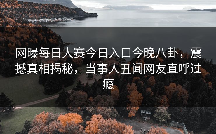 网曝每日大赛今日入口今晚八卦，震撼真相揭秘，当事人丑闻网友直呼过瘾