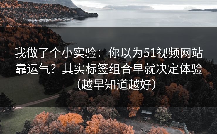我做了个小实验：你以为51视频网站靠运气？其实标签组合早就决定体验（越早知道越好）